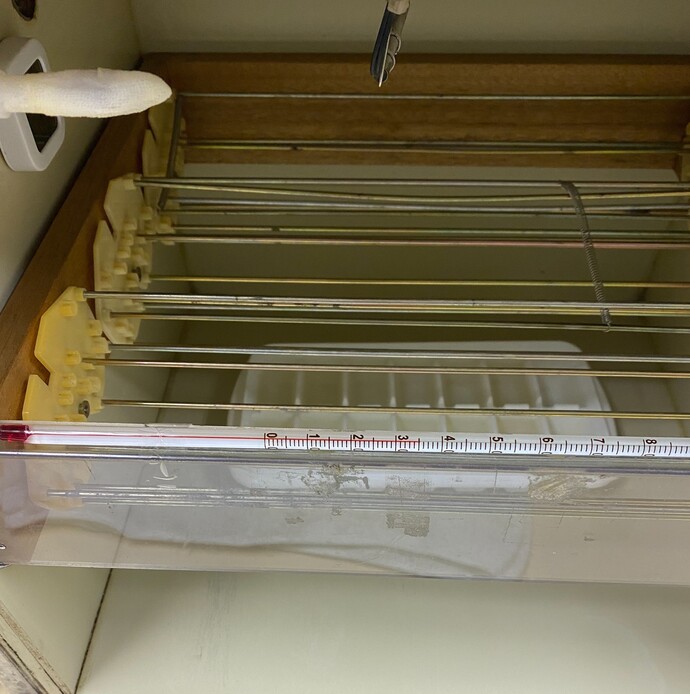 孵卵器内棒状温度計の写真