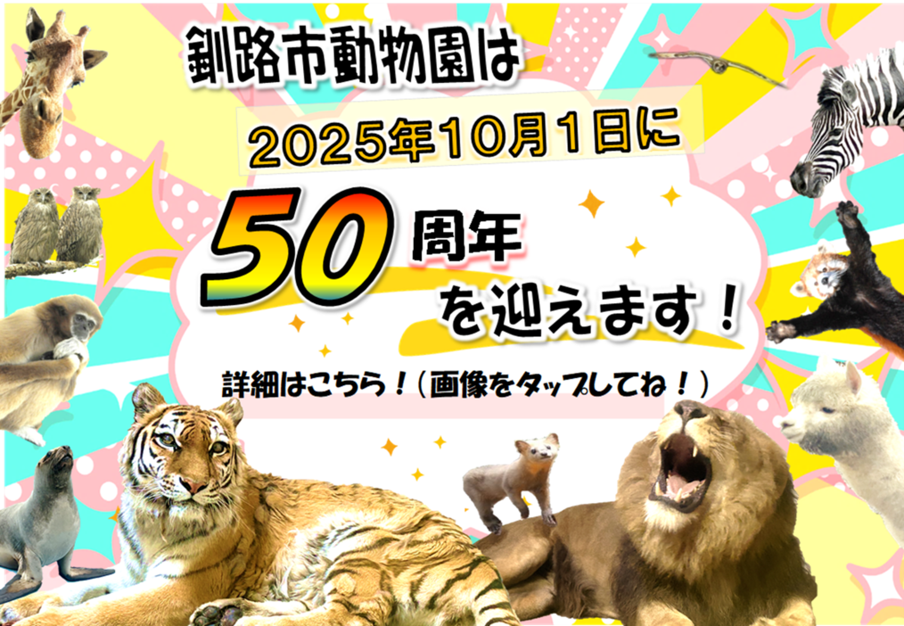 釧路市動物園は2025年10月1日に50周年を迎えます！