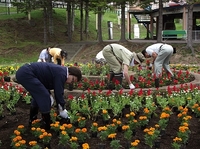 写真：花壇整備の様子