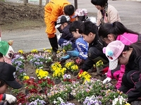 写真：花壇移植の様子