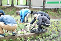 写真：花壇整備の様子