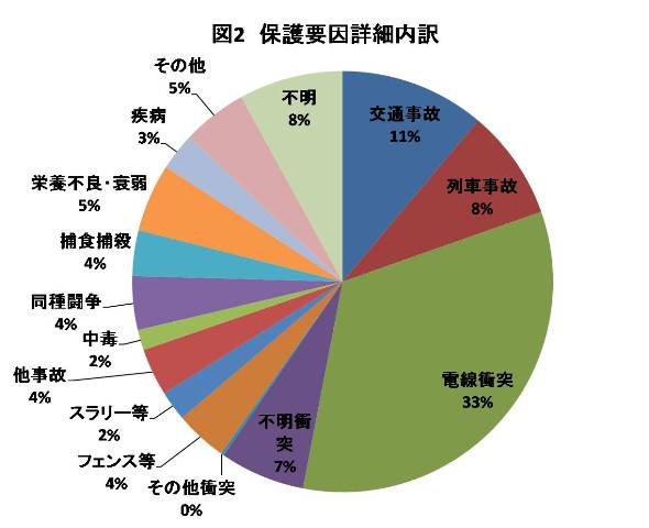 図3　保護要因詳細内訳