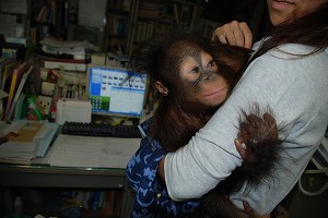 写真：ひなちゃん37