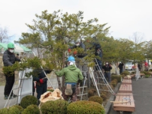 写真：植栽の剪定作業1