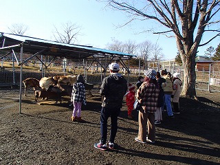 写真：トナカイ舎見学の様子2