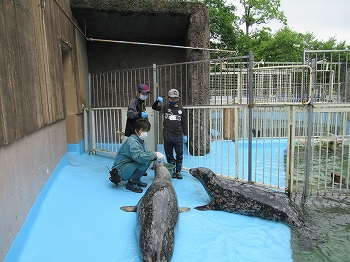 写真：飼育体験1