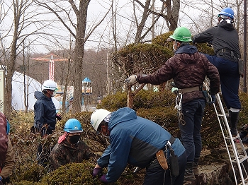 写真：剪定作業2