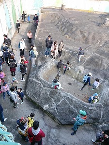 写真：ヒグマの動物舎バックヤードツアー1