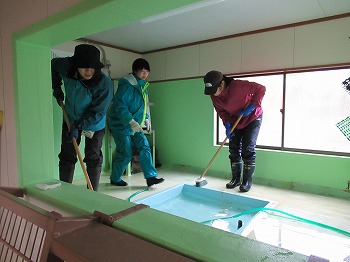 写真：飼育体験