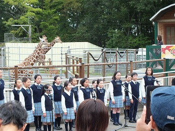 写真：キリンの誕生お祝い会