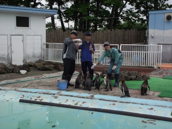 写真：飼育体験1