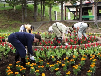 写真：花壇整備