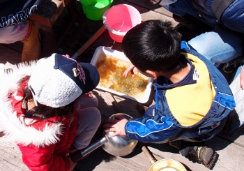 写真：かえるの観察2