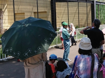 写真：ちょこっとガイド