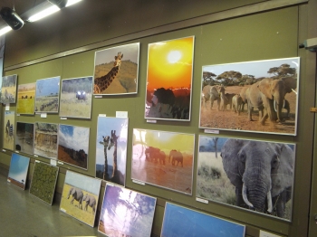 写真：アフリカ・ブンバ写真展2