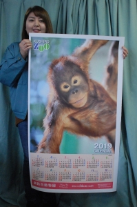写真：動物園オリジナルカレンダー