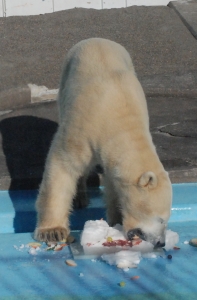 写真：アイスケーキを食べるキロル2