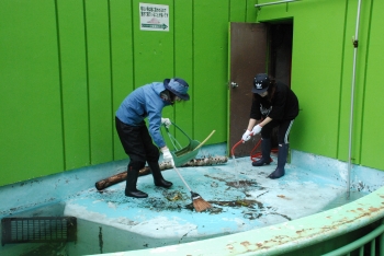 写真：大人の動物園スクール1