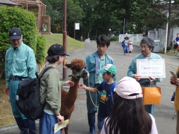 写真：アルパカとふれあうこどもたち