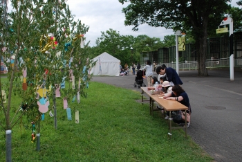 写真：短冊に願い事を書いている様子