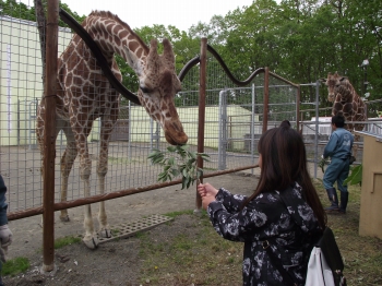 写真：餌やり体験