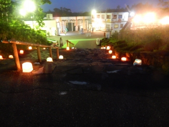 写真:夜の動物園