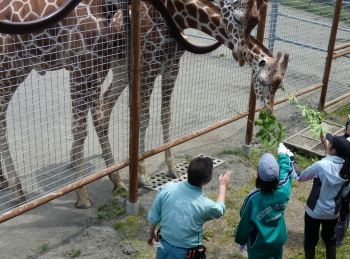 写真:飼育体験1