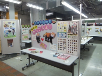 写真:特設会場の様子