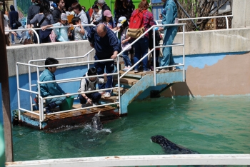 写真：餌やり体験