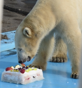 写真：雪ケーキを食べるキロル1