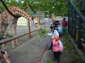 写真：キリンに餌をあげるこどもたち