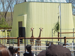 写真：スカイとコハネ