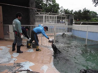 写真：餌やり体験