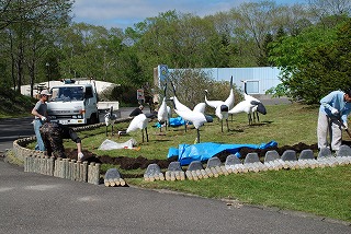 写真：タンチョウ人形設置風景