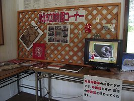 写真：台北市立動物園コーナー