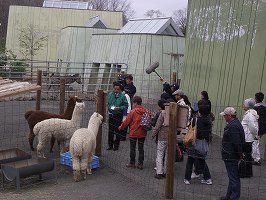 写真：動物園ボランティア講座