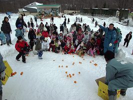 写真：みかんひろい大会