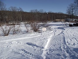 写真：歩くスキーのコース