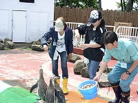 写真：餌やり体験