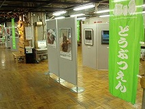 写真：パネル展の様子