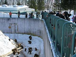 写真：冬の動物園まつり4