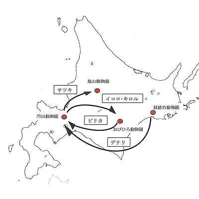 地図：道内ホッキョクグマの移動履歴