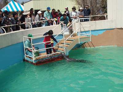 写真：パクパクタイム