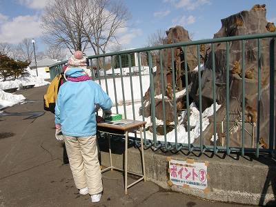 写真：クイズラリーをしているお客様