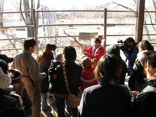 写真：トナカイ舎見学会