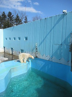 写真：水