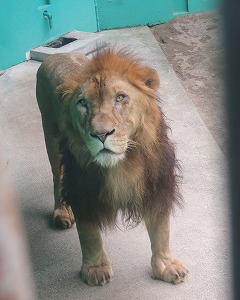 写真：ゆうひ