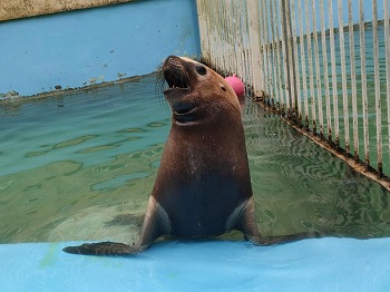 写真：くるる