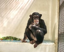 写真：食事中のゆづる