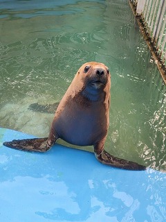 写真：くるる2（8月29日）